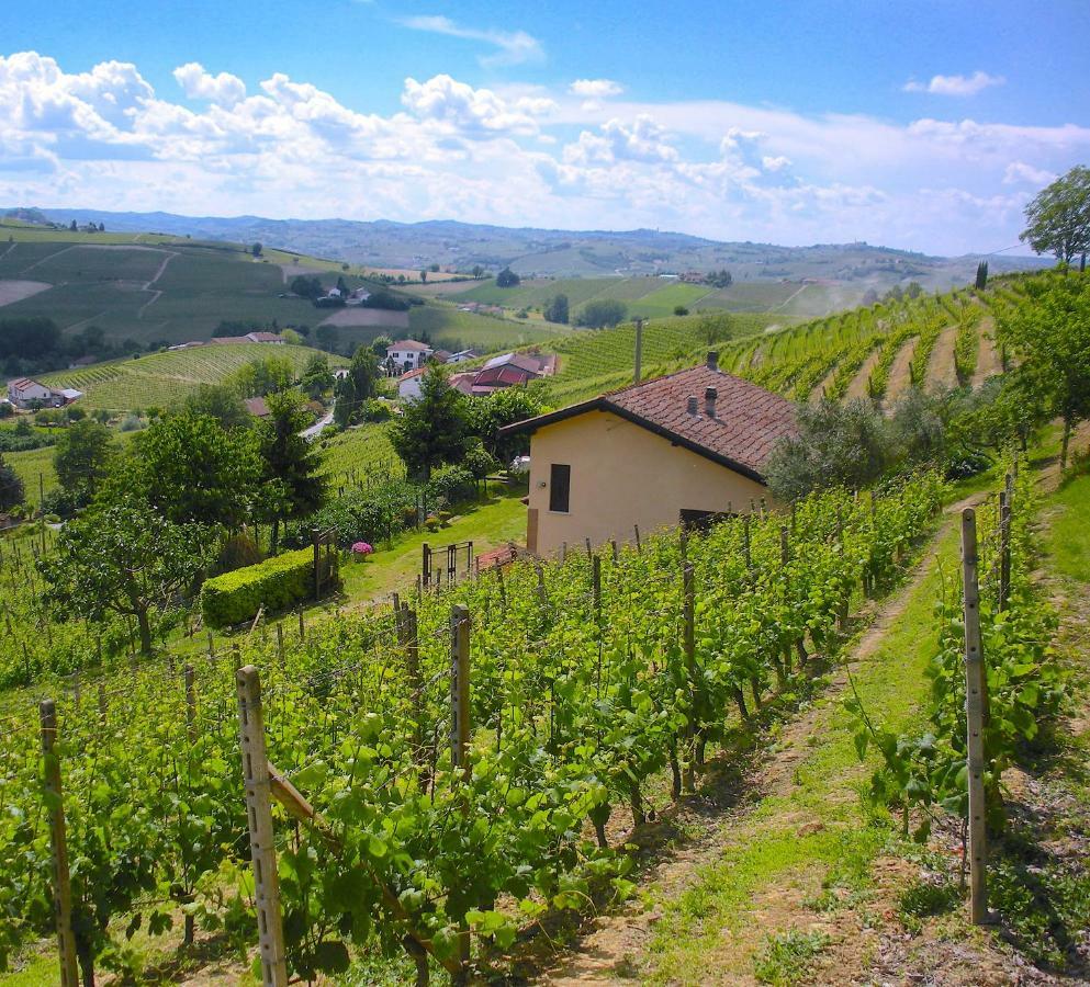 Cascina Tra I Vigneti A Nizza Monferrato Villa ภายนอก รูปภาพ