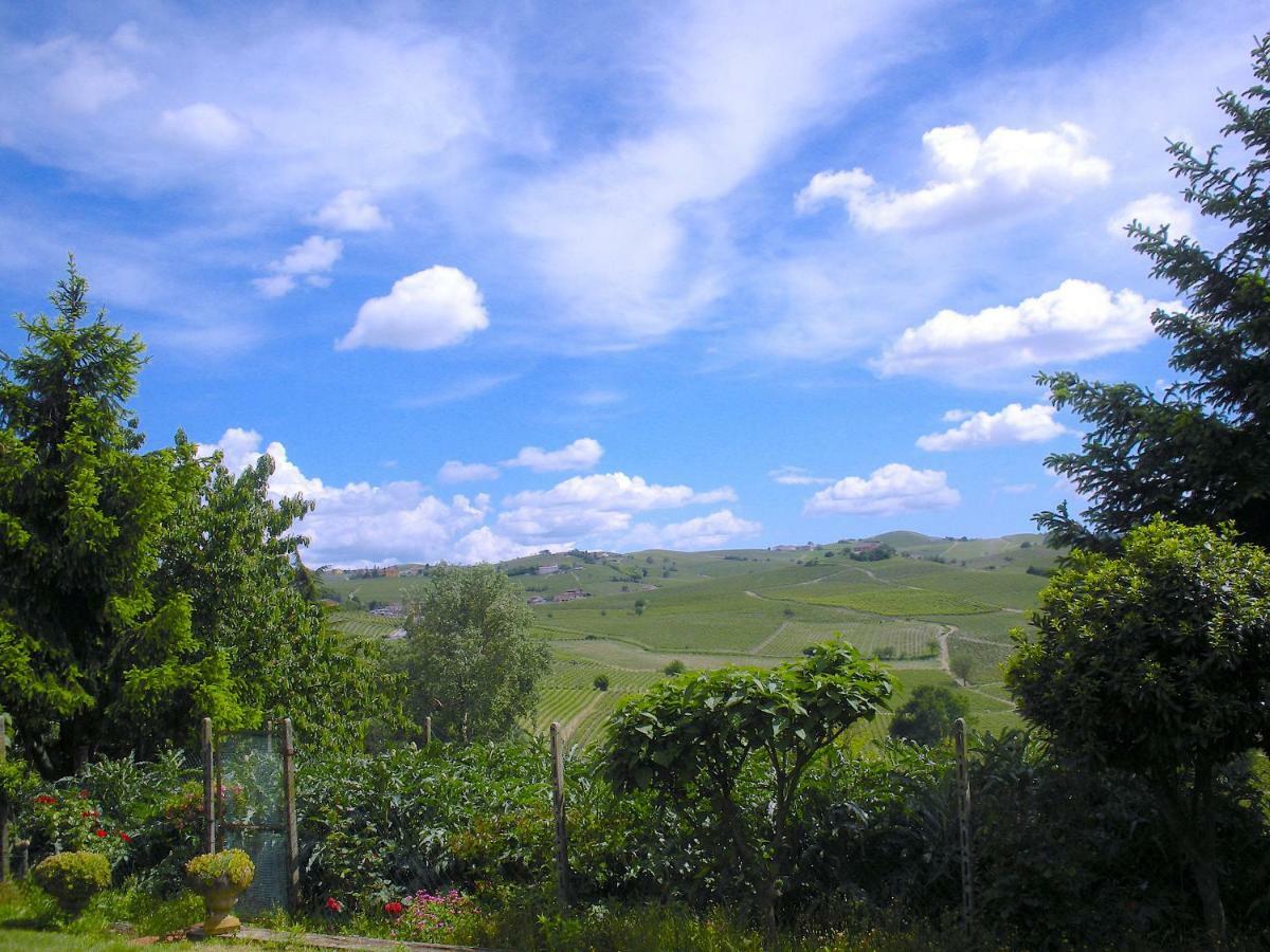 Cascina Tra I Vigneti A Nizza Monferrato Villa ภายนอก รูปภาพ