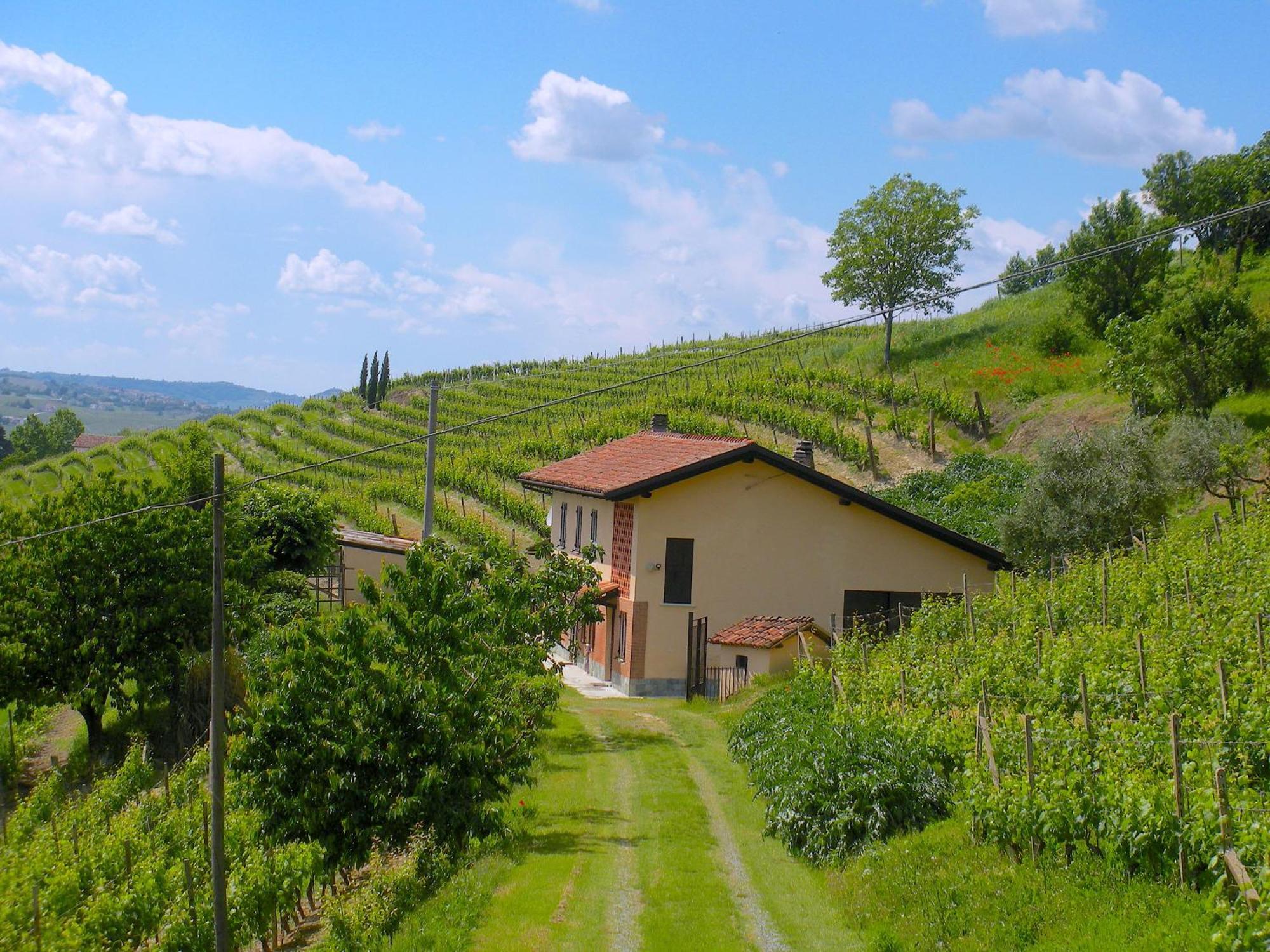 Cascina Tra I Vigneti A Nizza Monferrato Villa ภายนอก รูปภาพ