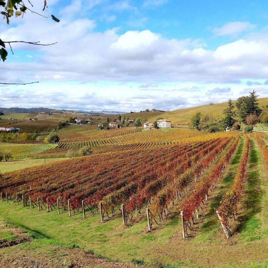 Cascina Tra I Vigneti A Nizza Monferrato Villa ภายนอก รูปภาพ