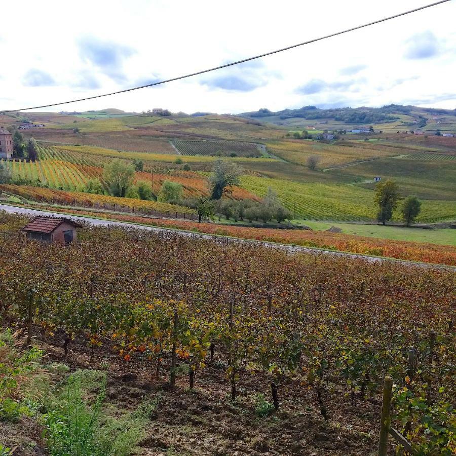 Cascina Tra I Vigneti A Nizza Monferrato Villa ภายนอก รูปภาพ