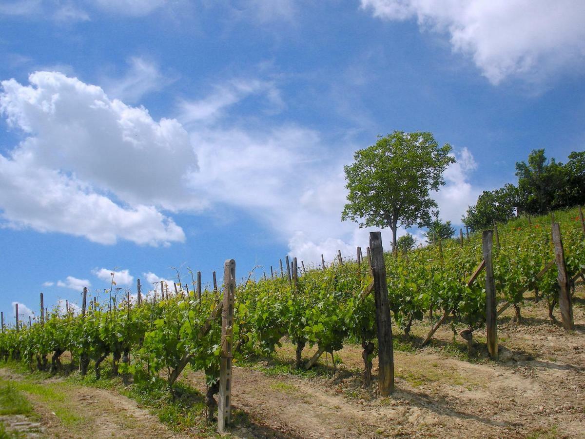 Cascina Tra I Vigneti A Nizza Monferrato Villa ภายนอก รูปภาพ