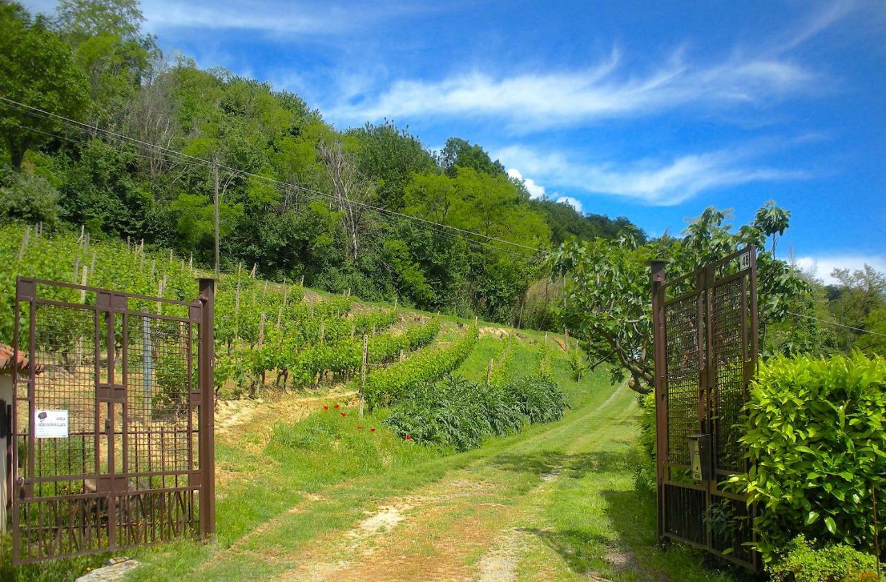 Cascina Tra I Vigneti A Nizza Monferrato Villa ภายนอก รูปภาพ