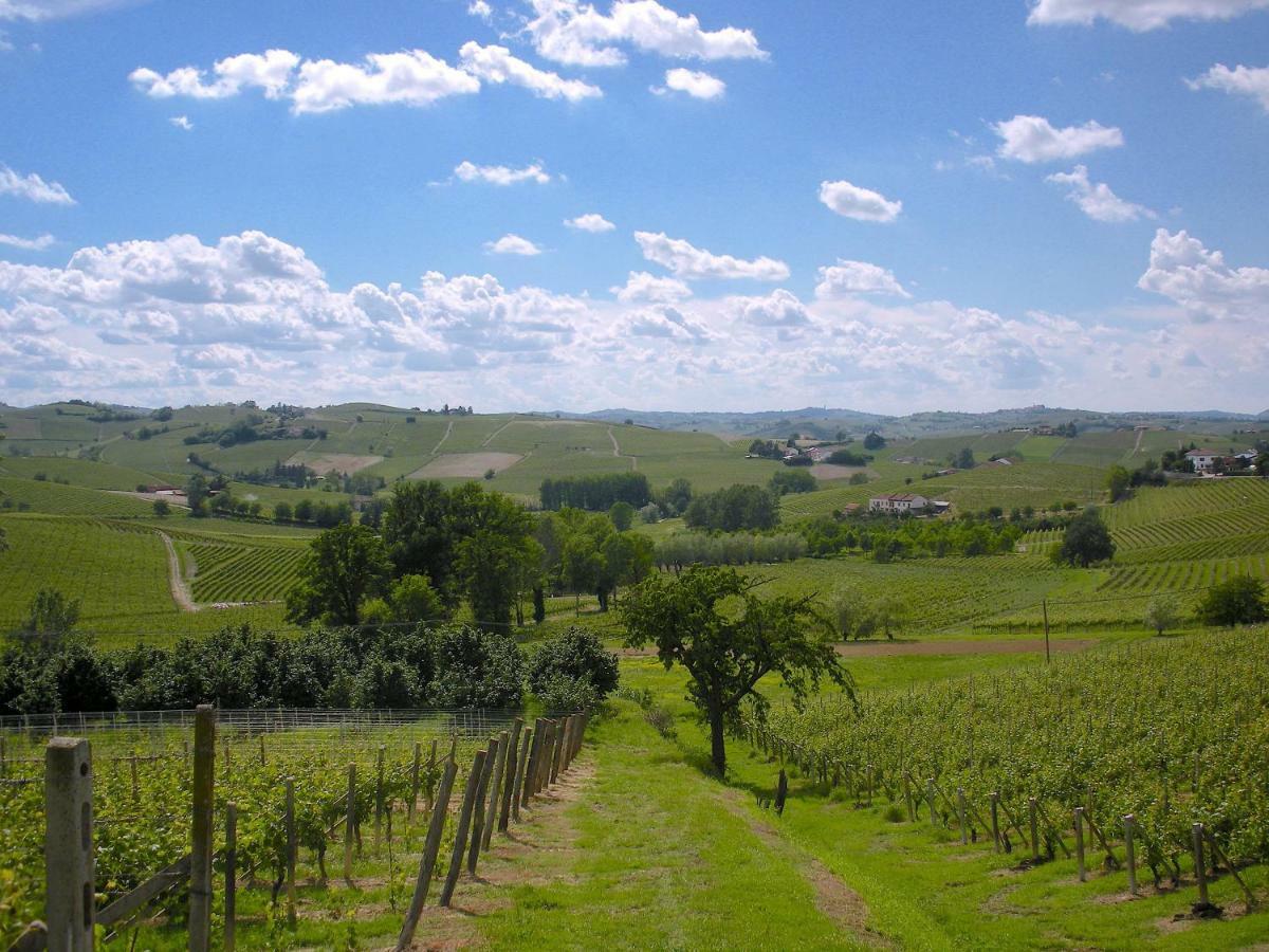 Cascina Tra I Vigneti A Nizza Monferrato Villa ภายนอก รูปภาพ