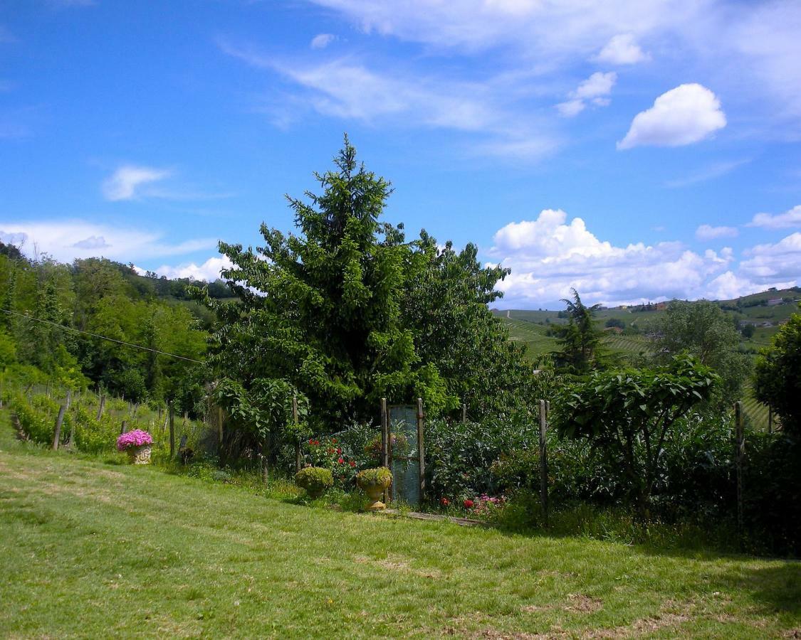 Cascina Tra I Vigneti A Nizza Monferrato Villa ภายนอก รูปภาพ